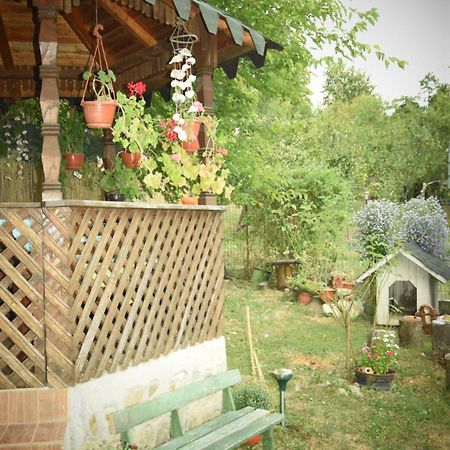 Casa Smeilor هوريزو المظهر الخارجي الصورة