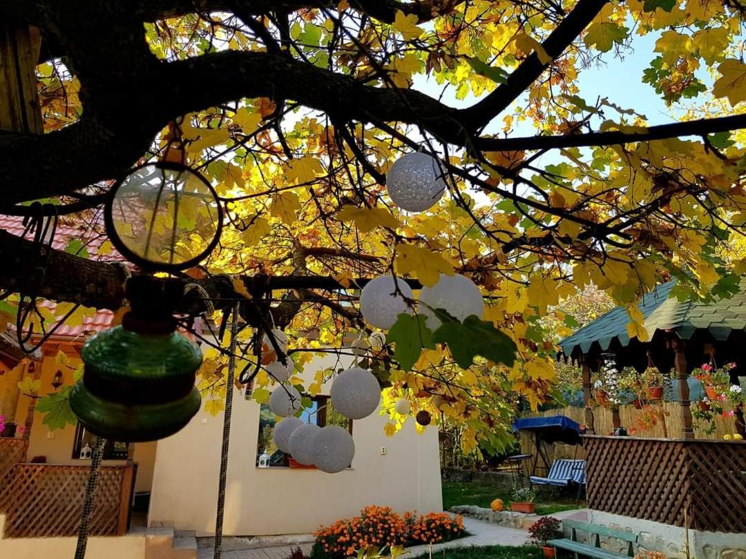 Casa Smeilor هوريزو المظهر الخارجي الصورة