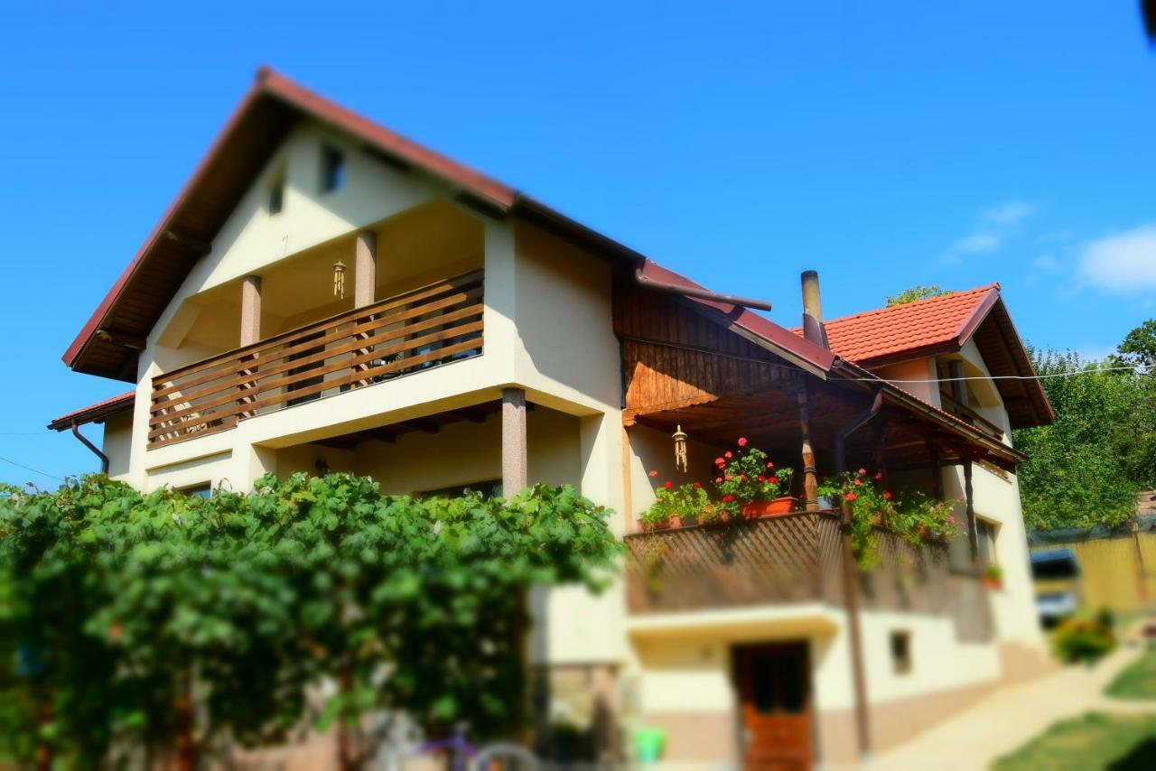 Casa Smeilor هوريزو المظهر الخارجي الصورة