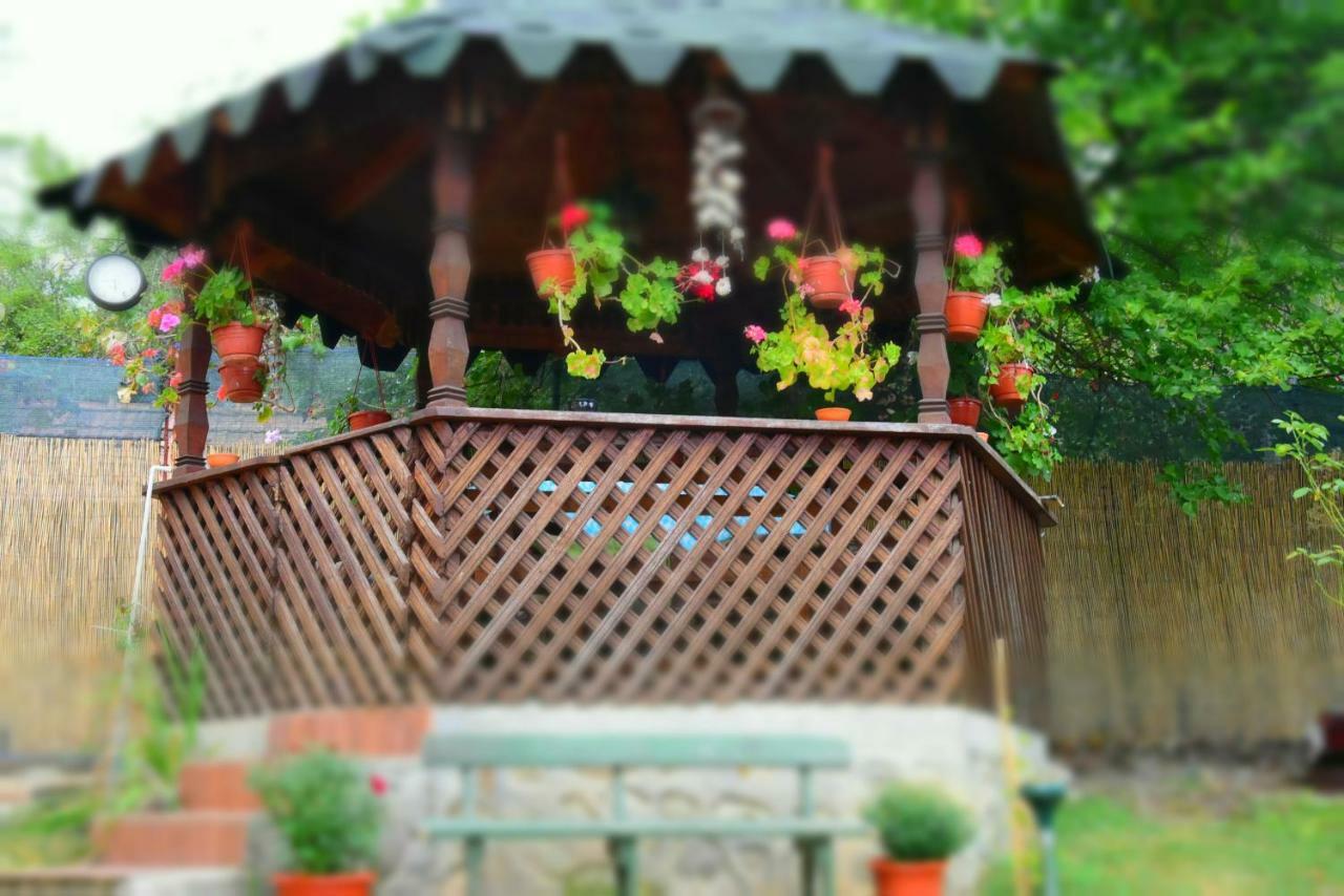 Casa Smeilor هوريزو المظهر الخارجي الصورة